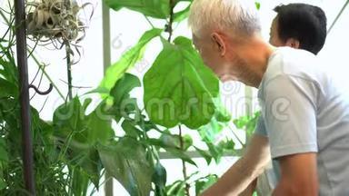 亚洲老夫妇种植绿色室内环境保护